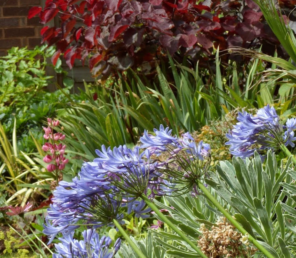 garden-designs-2-1000x872